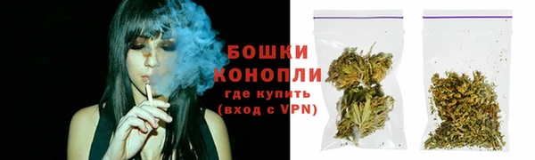 молекула духа Нефтекумск
